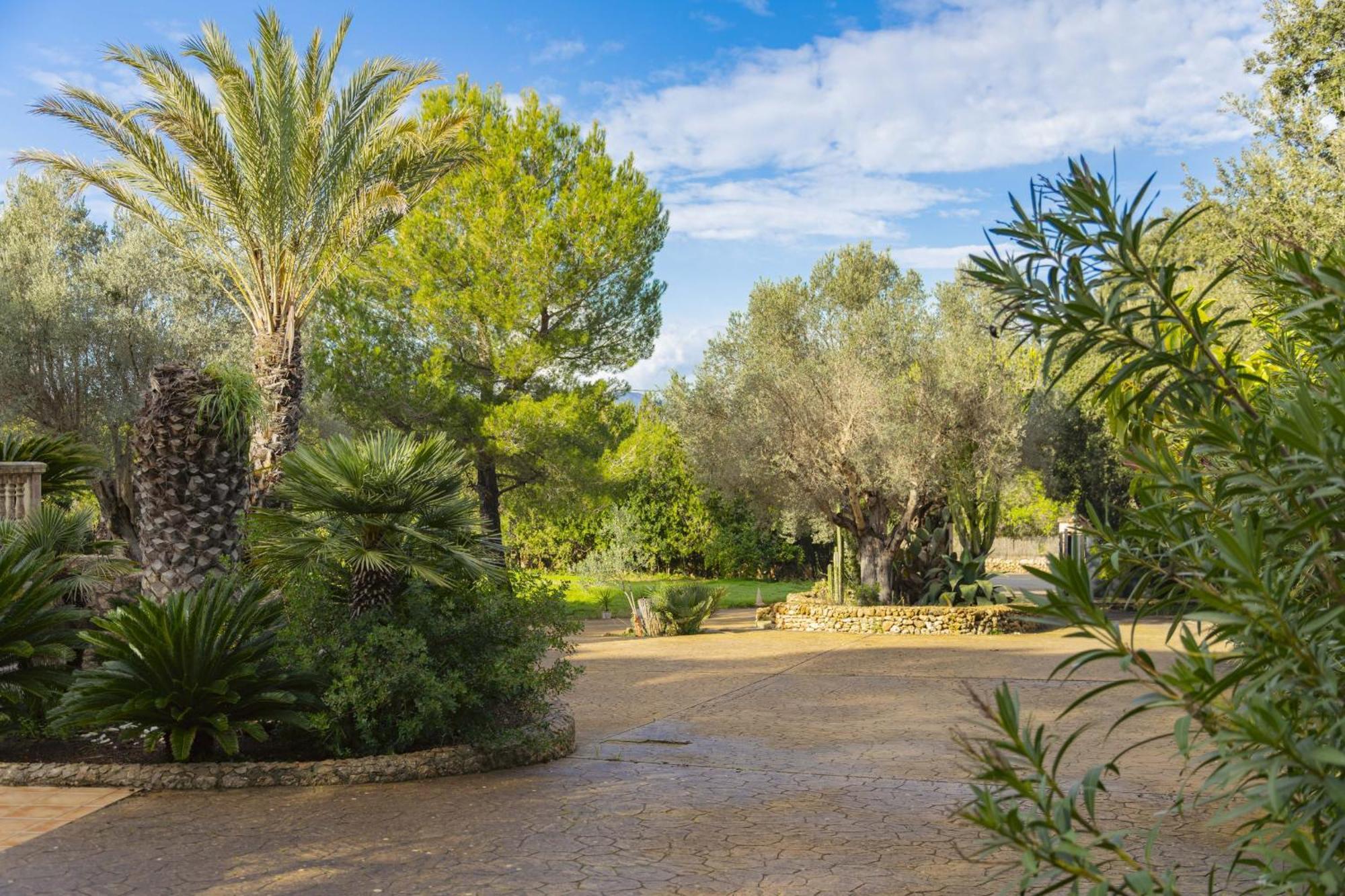 Villa Emmes